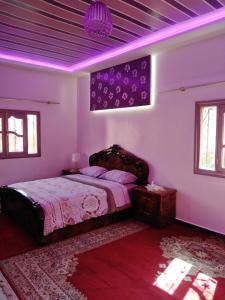 瓦尔扎扎特Villa Eden的一间卧室配有一张紫色照明的大床