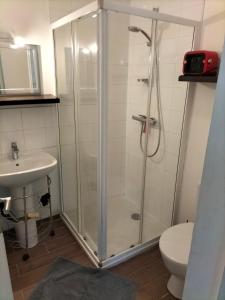 布拉西厄奥维洛弗勒里公寓的带淋浴、卫生间和盥洗盆的浴室