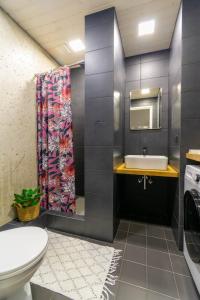 拉克韦雷Apartments24 Laada 4的一间带水槽和卫生间的浴室