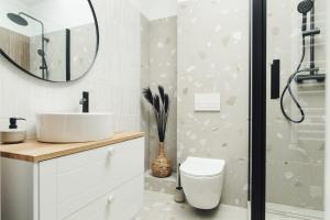 托伦Manpro Apartments Toruń的一间带卫生间、水槽和镜子的浴室