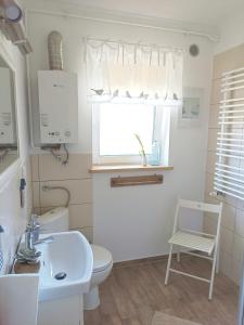 斯克拉斯卡波伦巴Apartament Jaśmin的一间带水槽和卫生间的浴室以及窗户。