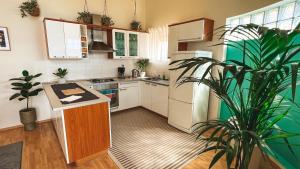 希贝尼克Beach Apartment w Sea Views, 3x Bedrooms w En-Suites的厨房配有白色家电和盆栽植物