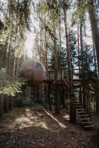 BūtingėNature calls - tree tents的森林中间的树屋