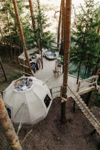 BūtingėNature calls - tree tents的树林甲板上的帐篷