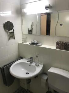 布伦瑞克charmantes 1Zi Apartment im Herzen von Braunschweig mit Balkon的一间带水槽、卫生间和镜子的浴室