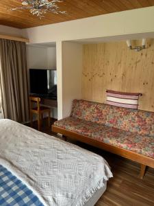 Gadmen"Terrasse" Nessental的酒店客房设有一张沙发和一张床