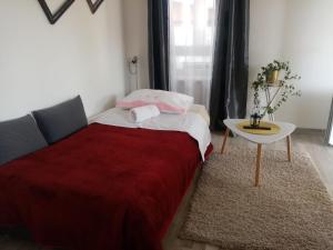 伊莫茨基Apartman TONKOVIĆ的一间卧室配有一张带红色毯子和桌子的床。