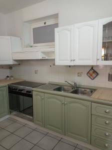 卡斯蒂里昂纳·德拉佩A casa di Ale的厨房配有绿色橱柜和水槽