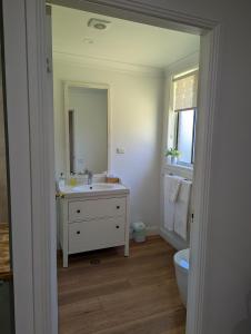 阿米代尔Twodogfolly at Creeklands的一间带水槽、卫生间和镜子的浴室