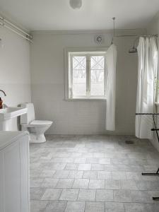 恩雪平Vallby Cottage的一间带卫生间、水槽和窗户的浴室