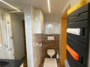 拉姆绍达赫斯坦Burglehnerhof的一间带卫生间和淋浴的小浴室