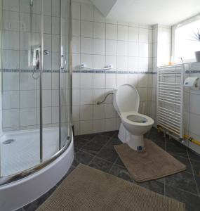 特热邦Ubytování Pohoda的一间带卫生间和淋浴的浴室