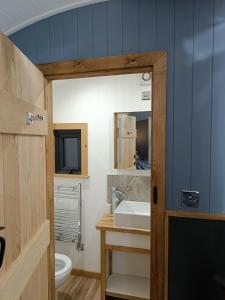 滕比Old Quay Escape的一间带水槽、卫生间和镜子的浴室