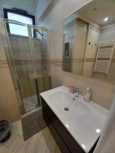 特拉尼Il faletto的浴室配有白色水槽和淋浴。