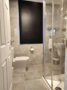 基拉尼Kingdom Lodge的一间带卫生间的浴室和墙上的电视