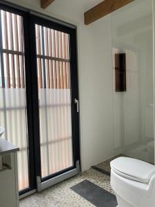 蒙尼肯丹Luxury Houseboat Liberdade with sauna and dinghy的一间带卫生间和滑动玻璃门的浴室