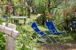 圣安格塔苏德格尔夫Antico Casale Ruoppo的花园里有两把蓝色的椅子,花香