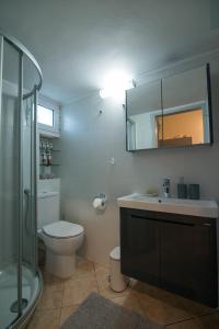 沃伊多基利亚Petrochori Beach House的浴室配有卫生间、盥洗盆和淋浴。
