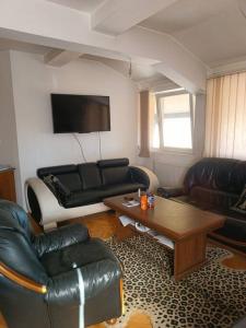 弗拉涅Vranje City Center, Penthouse Delux Apartment的客厅配有皮革家具和桌子