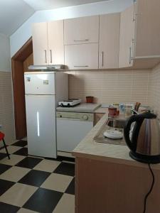 弗拉涅Vranje City Center, Penthouse Delux Apartment的一间厨房,配有白色家电和 ⁇ 板地板