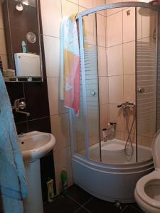 弗拉涅Vranje City Center, Penthouse Delux Apartment的带淋浴、卫生间和盥洗盆的浴室