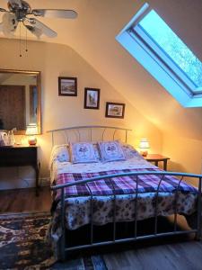 巴利霍尼斯Rural retreat near Knock的一间卧室配有一张床和天窗