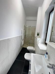 苏恰瓦Marvellous Aparthotel with Master Apartments Suceava的一间带两个卫生间和淋浴的浴室