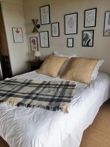 Lamothe-CapdevilleChambres d hotes, la maison de Kat的一间卧室配有一张床铺,床上有毯子