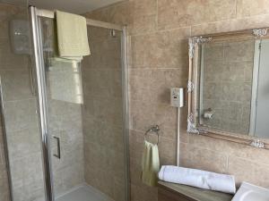 洛斯托夫特邦阿米旅馆的带淋浴、盥洗盆和镜子的浴室