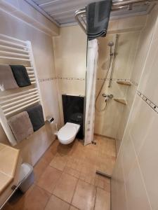 基姆湖畔普林Gästehaus Schwarz的一间带卫生间和淋浴的小浴室