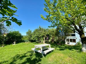 卡特佩Maşukiye Home Suit Apart的坐在树旁的草上野餐桌