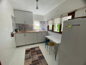 卡特佩Maşukiye Home Suit Apart的带冰箱和桌子的厨房