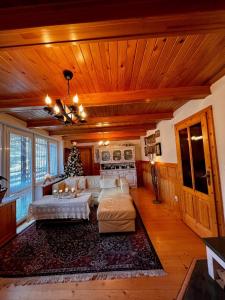 佩济诺克Villa Romana的带沙发和圣诞树的客厅