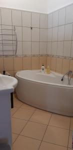 霍德梅泽瓦沙海伊Protea Apartment的带浴缸和盥洗盆的浴室