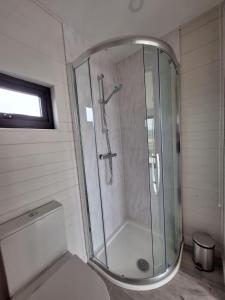 GweedoreDonegal Luxury Pods的一间带卫生间的浴室内的玻璃淋浴间