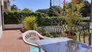 佩皮尼昂Bel appartement avec grande terrasse ensoleillée et jardin的庭院配有桌椅和植物