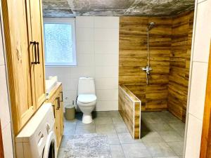 BagdatʼiLa-Marti, Idyllische Unterkunft mit Kamin的一间带卫生间和淋浴的浴室