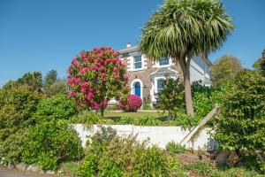 圣奥斯特尔Ivy House Cornwall B&B的一座有粉红色花朵和棕榈树的房子