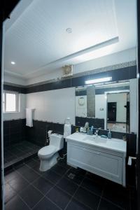 伊斯兰堡SK Residence的一间带卫生间、水槽和镜子的浴室