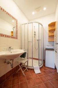 蓬高地区埃本尼西尔古特生态农庄酒店的一间带水槽和淋浴的浴室