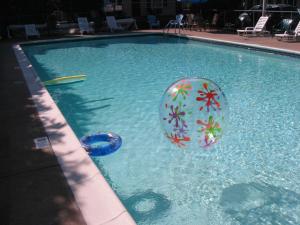 萨拉纳克莱克高蒂尔的萨拉纳克湖酒店的水中带沙滩球的游泳池