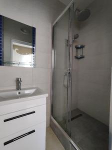 基希讷乌Kiki's Villa的带淋浴和盥洗盆的浴室
