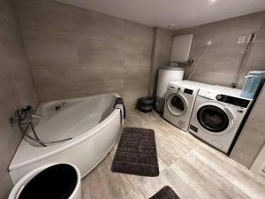 奥勒松Basement apartment with parking的带浴缸和洗衣机的浴室。