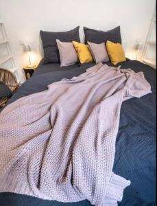 圣马丁Haus Sebald的床上的毯子,上面有许多枕头
