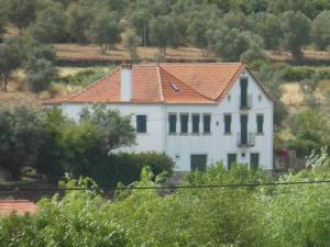 FolgosinhoQuinta da Barbosa的一座大型白色房屋,设有红色屋顶