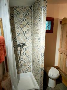 TourvesCabane des pachous的带淋浴和卫生间的浴室