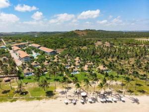 塔曼达雷Flat Beira Mar - Carneiros Beach Resort的棕榈树度假村的空中景致