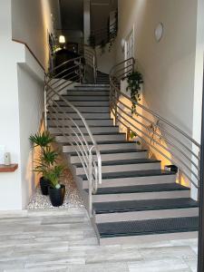 卡韦松·德·拉·萨尔埃尔克鲁塞旅馆的植物丛中的楼梯