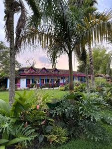 蒙特内哥罗El Percal Hacienda Hotel的庭院前有棕榈树的建筑