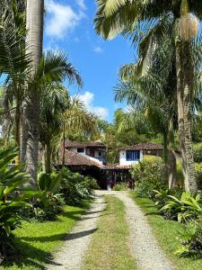蒙特内哥罗El Percal Hacienda Hotel的房屋前有棕榈树的土路